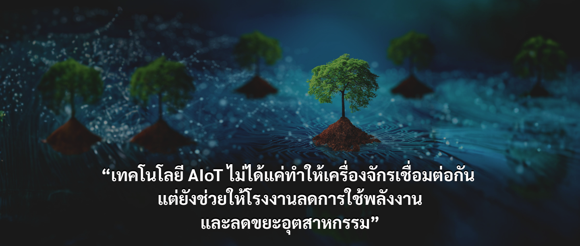 Page banner